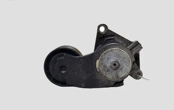 Volvo V40 Timing belt tensioner 846143