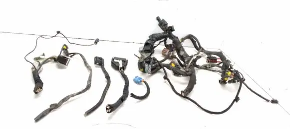 Engine installation wiring loom