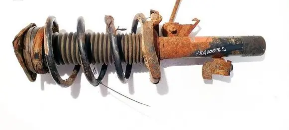 Ford Focus C-MAX Front shock absorber/damper