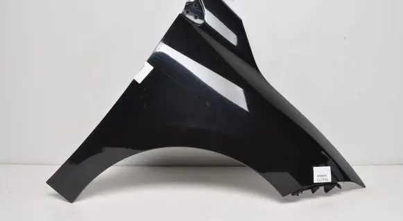Renault Megane III Front mudguard 