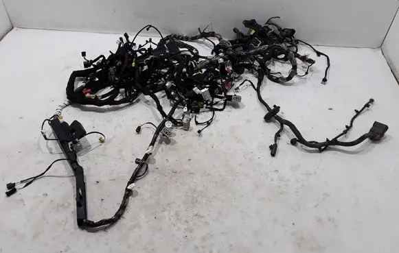 Other wiring loom