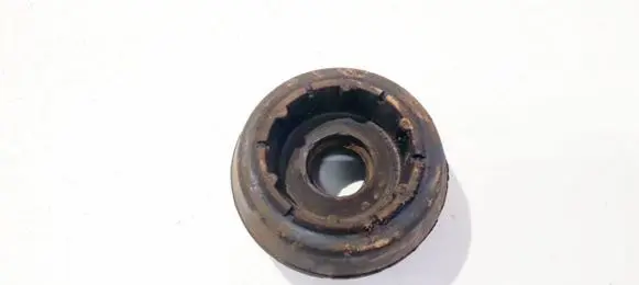 Coil spring mount