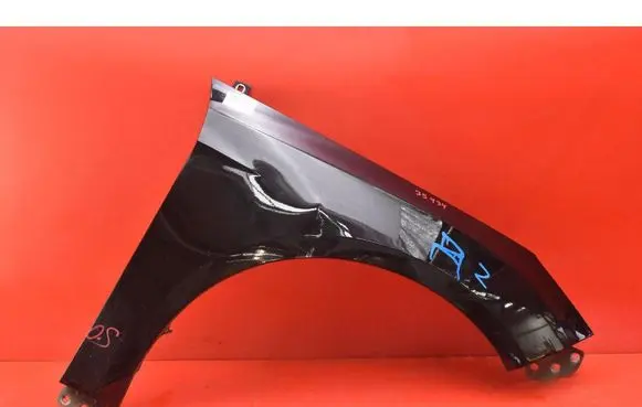 Ford Focus Fender