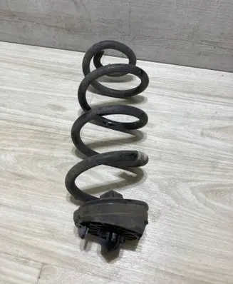 Rear coil spring