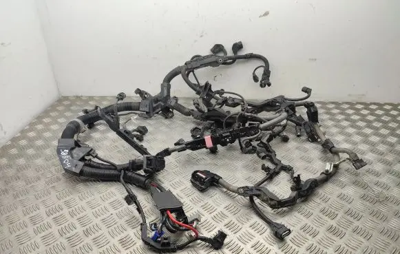 Toyota RAV 4 (XA50) Engine installation wiring loom