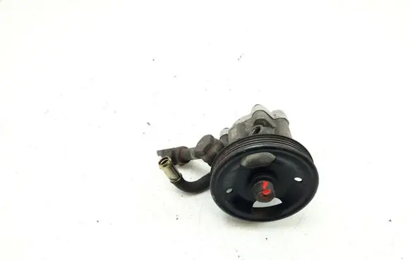 Nissan Murano Z50 Power steering pump 66014040