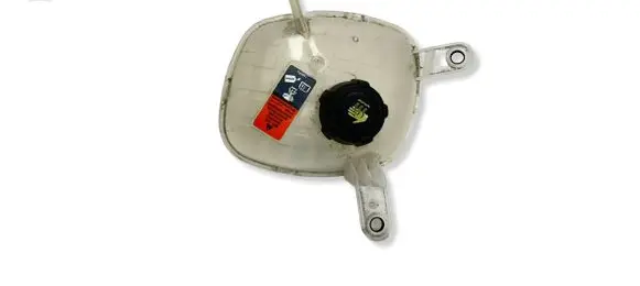 Nissan Qashqai J12 Fuel expansion tank 217106RN0A 46020
