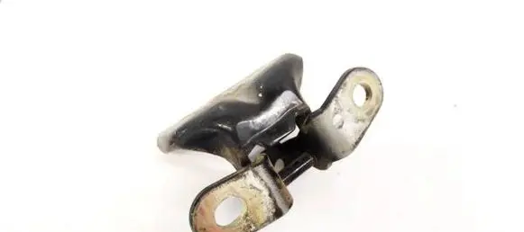 Hyundai Santa Fe Rear door lower hinge
