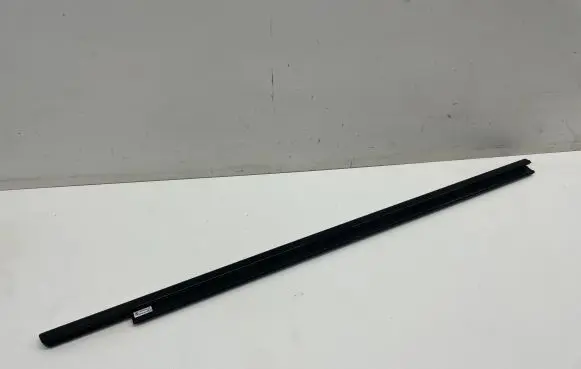 BMW iX Front door glass trim molding 8491344