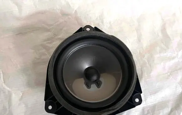 Lexus NX Rear door speaker 8016078060