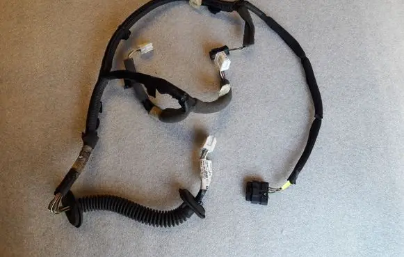 Rear door wiring loom