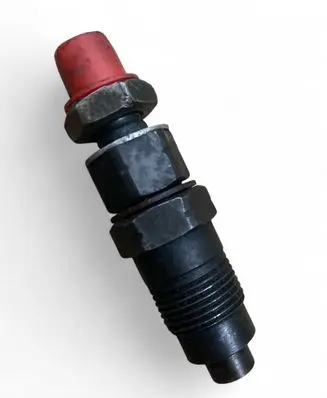 Mitsubishi Pajero Fuel injector