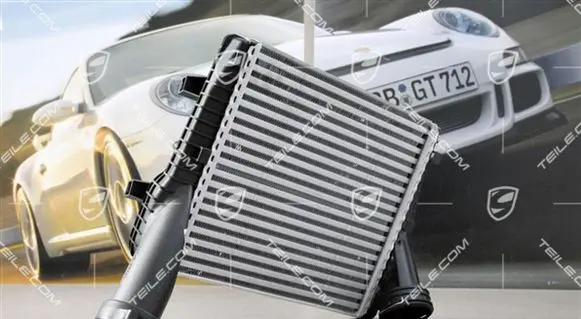 Porsche Cayenne (9PA) Intercooler radiator 95511080402