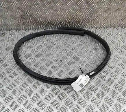 Mercedes-Benz AMG GT R190 C190 Rubber seal front coupe door A1906970351