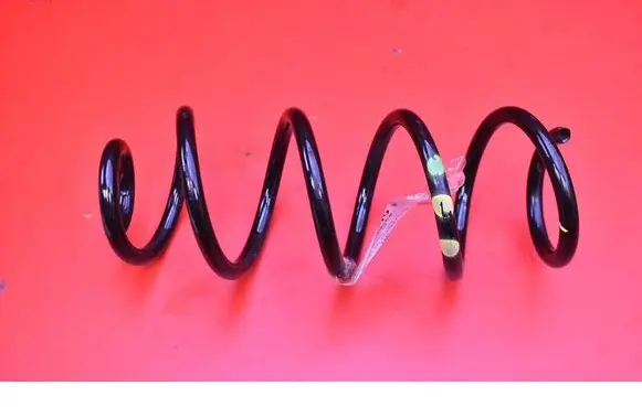 Rear coil spring