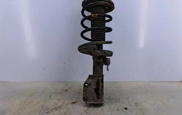 Mazda Premacy Front shock absorber with coil spring