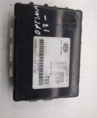 KIA Optima Other control units/modules 954002T550 4928701000