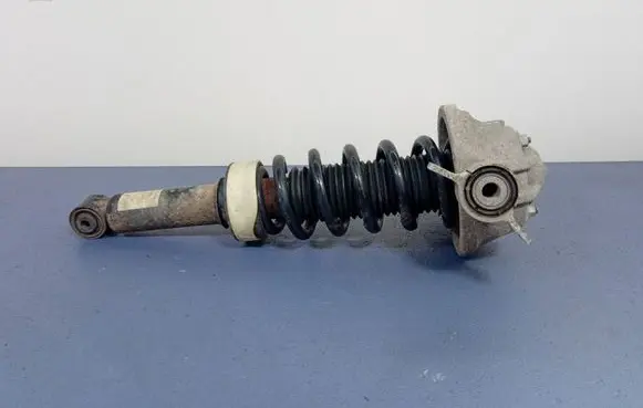 Porsche Cayenne (9PA) Rear shock absorber/damper 7L5513029G