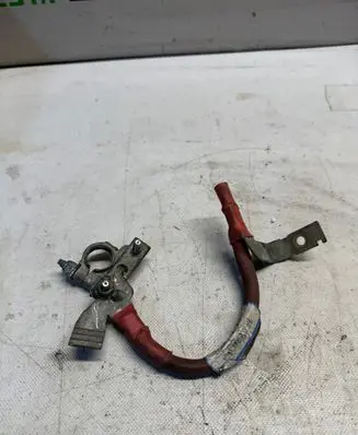 Opel Vivaro Positive cable (battery) 243866500R