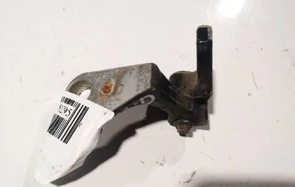 Ford Focus C-MAX Rear door lower hinge