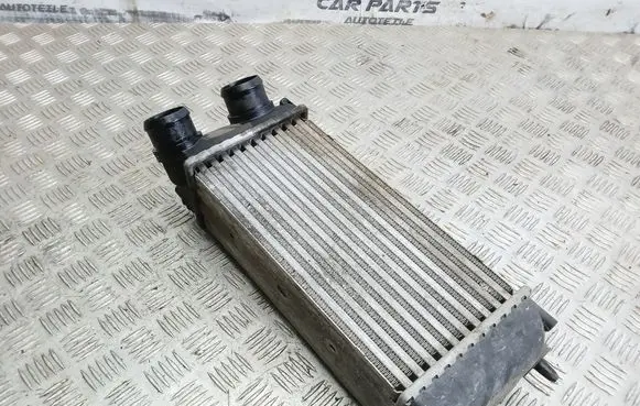 Peugeot 307 Intercooler radiator