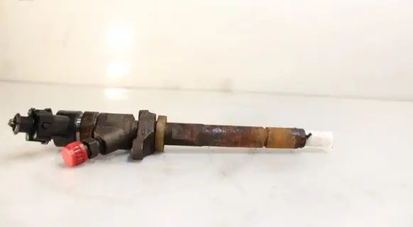 Ford Focus Fuel injector 045110259