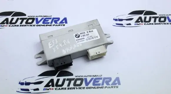 BMW X5 E53 Sunroof control unit/module 6955925