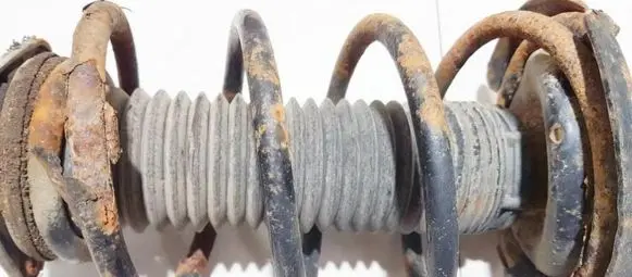 Ford Focus Front coil spring