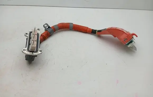 Lexus RX 450H Other wiring loom G214848080