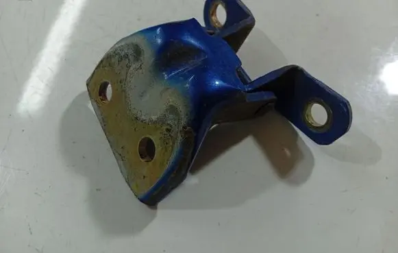 KIA Sportage Rear door lower hinge 