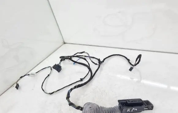 Front door wiring loom