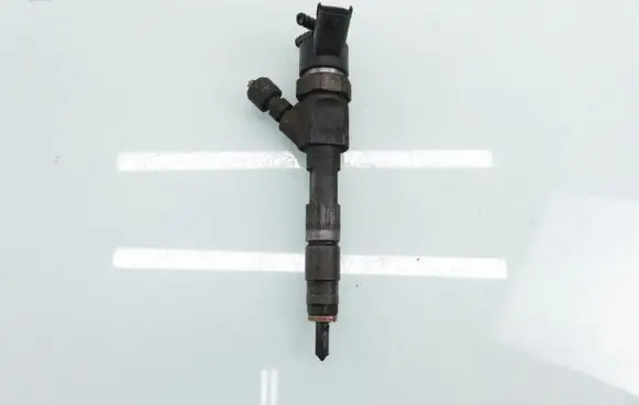 Renault Espace - Grand espace IV Fuel injector 0445110110B 8200100272