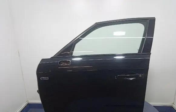 Citroen DS5 Front door