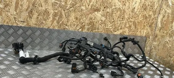 Citroen C4 Cactus Engine installation wiring loom 9800119680 9807341980B