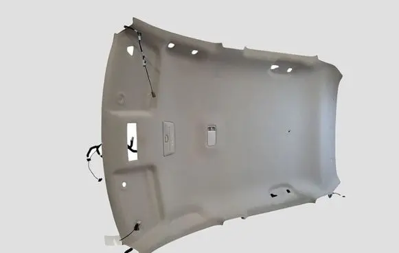 Nissan Leaf II (ZE1) Headlining 572168451 8928513