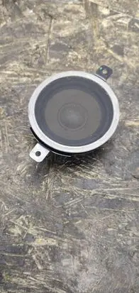 Panel speaker
