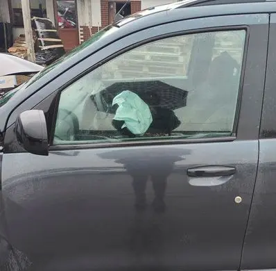 Dacia Lodgy Rear door