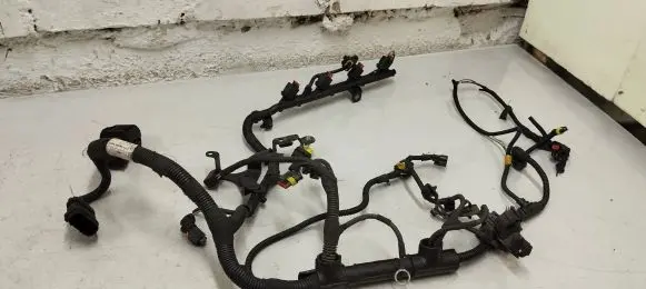 Fiat Tipo Engine installation wiring loom 55272117