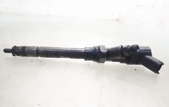 Citroen C5 Fuel injector 0445110036 9637277980
