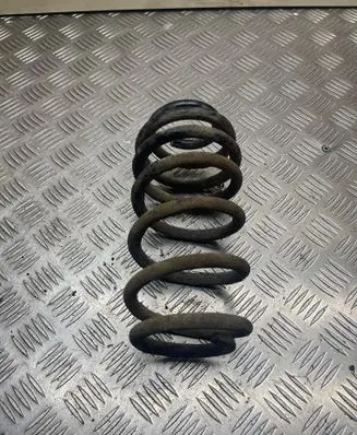Rear coil spring