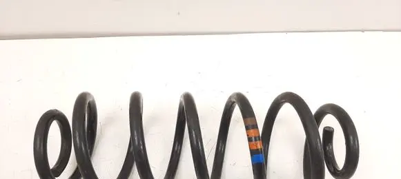 Volkswagen PASSAT CC Rear coil spring