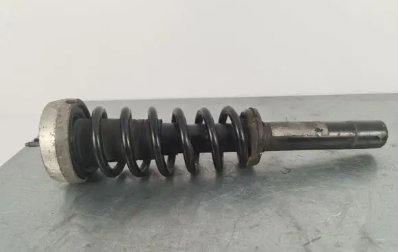 BMW X6 E71 Front shock absorber/damper 6783016