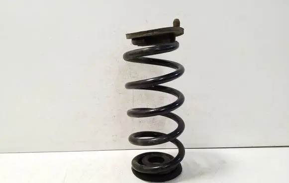 Rear coil spring