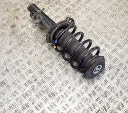 Ford Transit - Tourneo Connect Front shock absorber/damper DV6118045AC