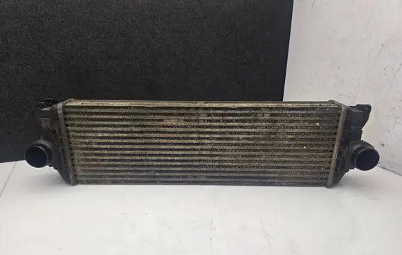 Volkswagen Crafter Intercooler radiator A9065010201 6819171 2E0145804A