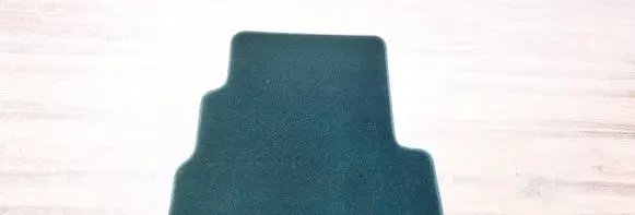 Ford Kuga II Rear floor mat EJ54130D00BA3JA6