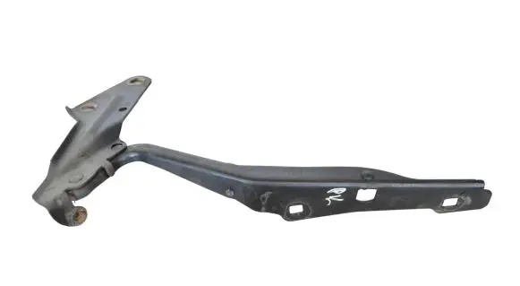 Dodge RAM 1500 DS Engine bonnet/hood hinges 575AD