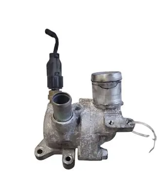 Thermostat/thermostat housing