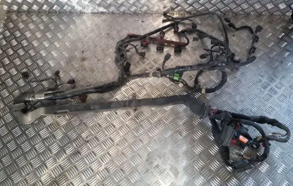 Audi A4 S4 B6 8E 8H Engine installation wiring loom