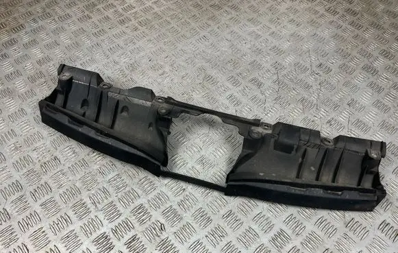 Engine bonnet/hood lock trim molding